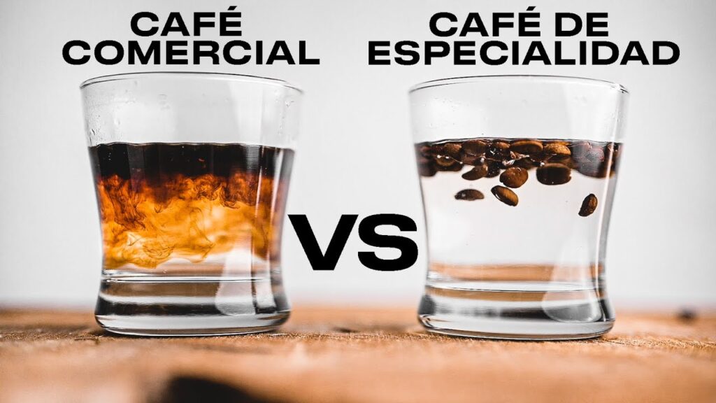 Todo Lo Que Necesita Saber Sobre El Café De Especialidad Mediacor