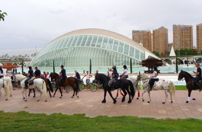 Equitación en Valencia